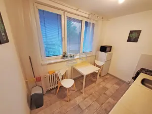 Pronájem bytu 1+1, Ostrava - Slezská Ostrava, Bohumínská, 38 m2