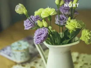 Prodej rodinného domu, České Budějovice, Nádražní, 106 m2