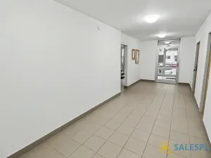 Prodej bytu 2+kk, Praha - Stodůlky, Prusíkova, 46 m2