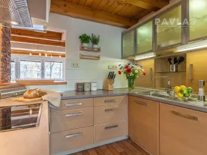 Pronájem bytu 2+1, České Budějovice, Lidická tř., 109 m2