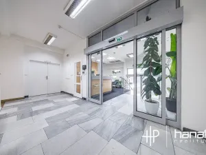 Pronájem kanceláře, Olomouc, Karolíny Světlé, 100 m2