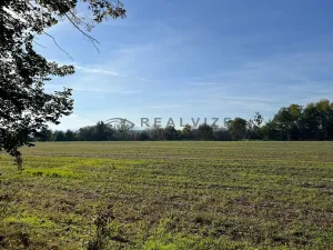 Prodej pozemku pro bydlení, České Budějovice, Lidická tř., 11608 m2