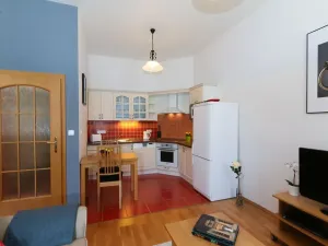Pronájem bytu 1+kk, Praha - Vinohrady, Sázavská, 35 m2
