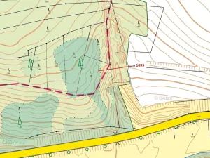 Dražba lesa, Mladoňovice, 1427 m2