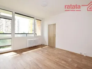 Pronájem bytu 1+1, Chomutov, Březenecká, 33 m2