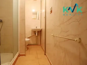 Prodej bytu 1+1, Sokolov, Jelínkova, 36 m2