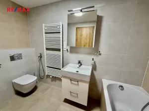 Pronájem bytu 2+kk, Plzeň, U Borského parku, 61 m2