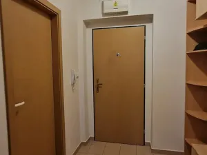 Prodej bytu 1+kk, Štěnovice, Čižická, 27 m2