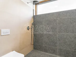 Prodej rodinného domu, Radějovice - Olešky, 218 m2