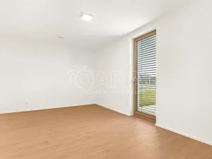 Prodej rodinného domu, Radějovice - Olešky, 218 m2