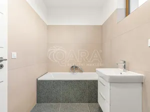 Prodej rodinného domu, Radějovice - Olešky, 218 m2