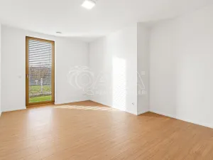 Prodej rodinného domu, Radějovice - Olešky, 218 m2