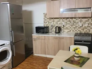 Pronájem atypického bytu, Praha - Košíře, Vrchlického, 20 m2