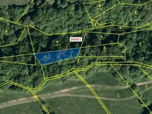 Dražba lesa, Hovězí, 680 m2