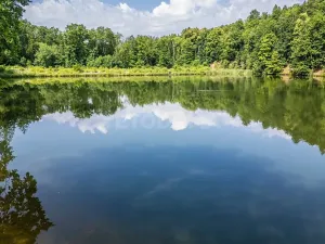 Prodej rodinného domu, Kornatice, 270 m2