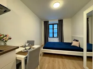 Pronájem bytu 1+kk, Brno, Francouzská, 22 m2