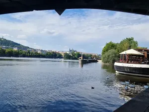 Prodej bytu 2+1, Praha - Nusle, Oldřichova, 40 m2