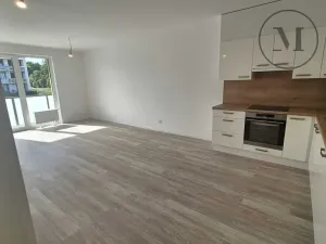 Pronájem bytu 2+kk, České Budějovice, Branišovská, 67 m2