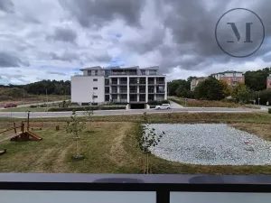 Pronájem bytu 2+kk, České Budějovice, Branišovská, 67 m2