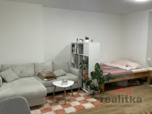 Pronájem bytu 1+1, Opava, Ostrožná, 36 m2