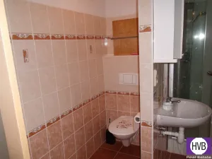 Prodej bytu 3+1, Loučovice, 78 m2