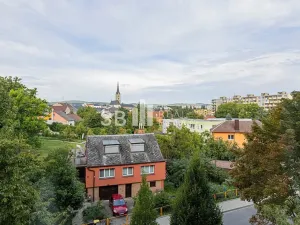 Pronájem bytu 3+1, Mohelnice, Nová, 71 m2