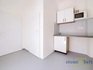 Pronájem bytu 1+kk, Praha - Smíchov, Holečkova, 25 m2