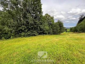 Prodej louky, Lučany nad Nisou, 618 m2