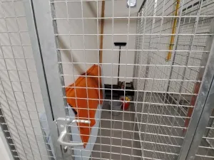 Pronájem bytu 1+kk, Uničov, Pionýrů, 29 m2