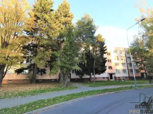 Pronájem bytu 1+1, Ostrava - Moravská Ostrava, Petra Křičky, 40 m2