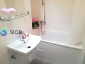 Pronájem bytu 1+1, Ostrava - Hrabůvka, Dr. Martínka, 36 m2