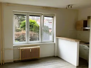 Pronájem bytu 1+kk, Ostrava - Hrabůvka, Krakovská, 22 m2