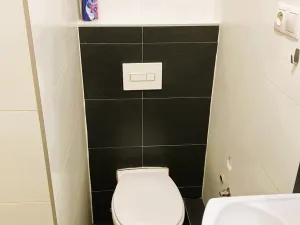 Pronájem bytu 1+kk, Ostrava - Hrabůvka, Krakovská, 22 m2