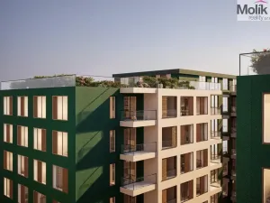 Prodej bytu 1+kk, Golem, 30 m2