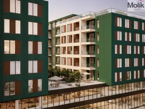 Prodej bytu 1+kk, Golem, 30 m2