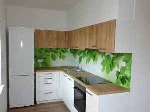 Pronájem bytu 1+kk, Pardubice - Zelené Předměstí, Bratranců Veverkových, 33 m2