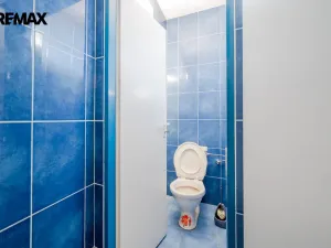 Prodej komerční nemovitosti, Rataje nad Sázavou, 200 m2