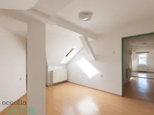 Prodej bytu 3+1, Plzeň, Křížkova, 106 m2