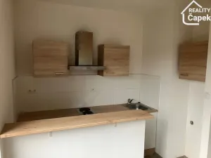 Pronájem bytu 1+kk, Ostrava - Hrabůvka, Krakovská, 22 m2