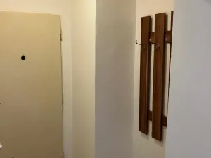 Pronájem bytu 1+kk, Ostrava - Hrabůvka, Krakovská, 22 m2