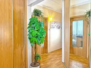 Prodej bytu 2+kk, České Budějovice - České Budějovice 2, Otavská, 45 m2