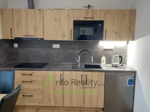 Pronájem bytu 1+kk, Loučovice, 65 m2