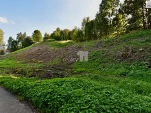 Prodej pozemku pro bydlení, Police nad Metují, U Lesovny, 6515 m2