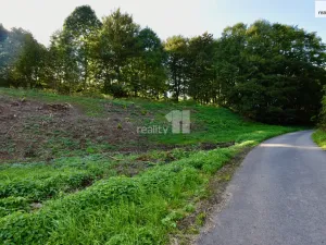 Prodej pozemku pro bydlení, Police nad Metují, U Lesovny, 6515 m2