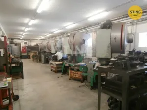 Prodej výrobních prostor, Horní Benešov - Luhy, 1241 m2