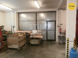 Prodej výrobních prostor, Horní Benešov - Luhy, 1241 m2
