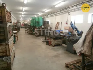 Prodej výrobních prostor, Horní Benešov - Luhy, 1241 m2
