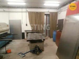 Prodej výrobních prostor, Horní Benešov - Luhy, 1241 m2