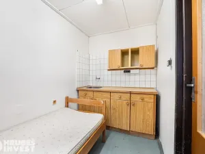 Prodej komerční nemovitosti, Česká Skalice, 392 m2