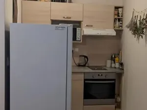 Pronájem bytu 1+kk, Olomouc, Ostružnická, 23 m2